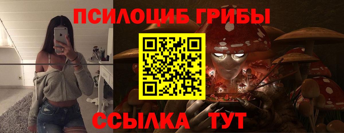 Строитель  Галлюциногенные грибы Magic Shrooms  Вход с VPN  Галлюциногенные грибы GOLDEN TEACHER 